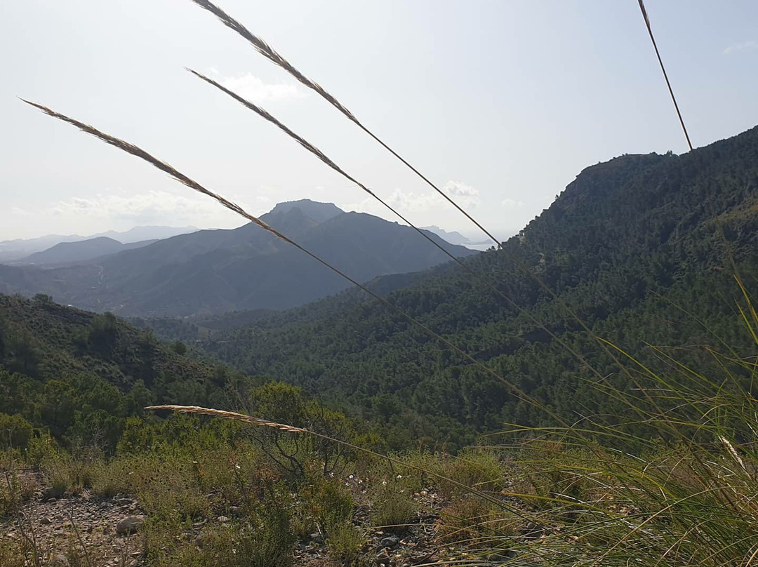 Sendero del Agua-Galifa必去景点