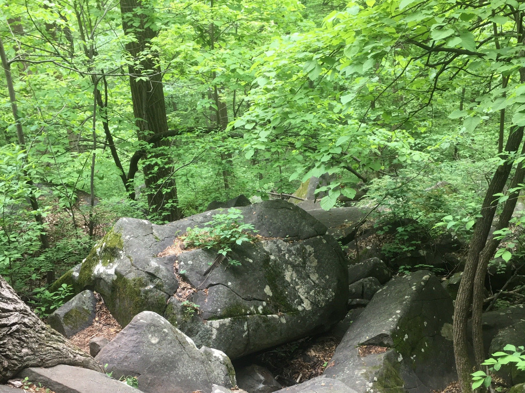 Sourland Mountain Preserve景点图片