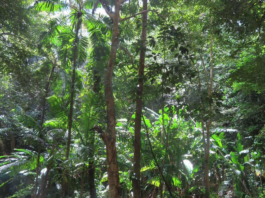 Welchman Hall Gully-Saint Thomas Parish必去景点