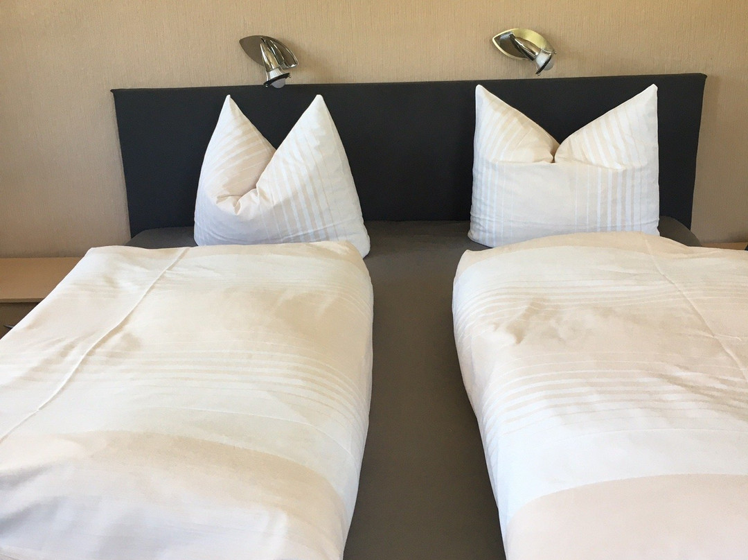 Hotel Waldhaus-Hutzelhoh主图