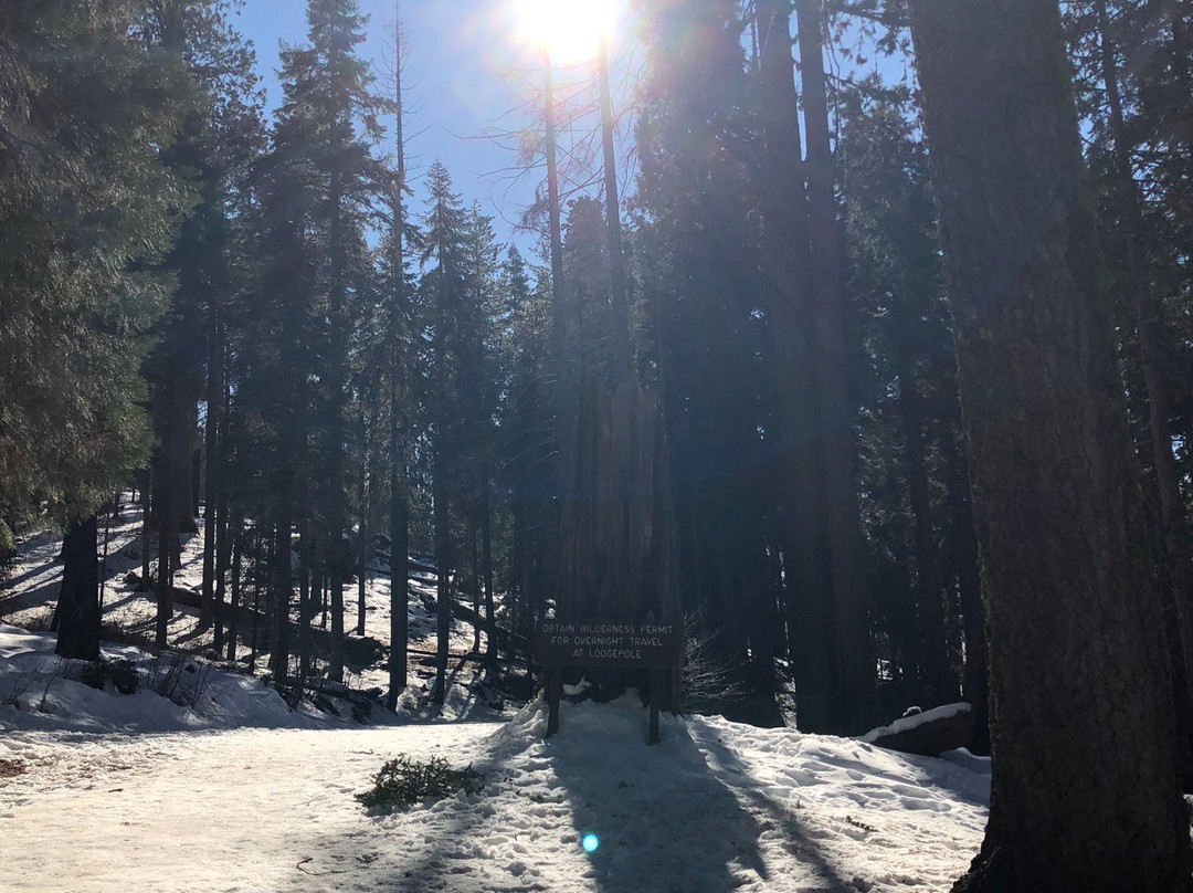 Sequoia and Kings Canyon National Parks-Three Rivers必去景点