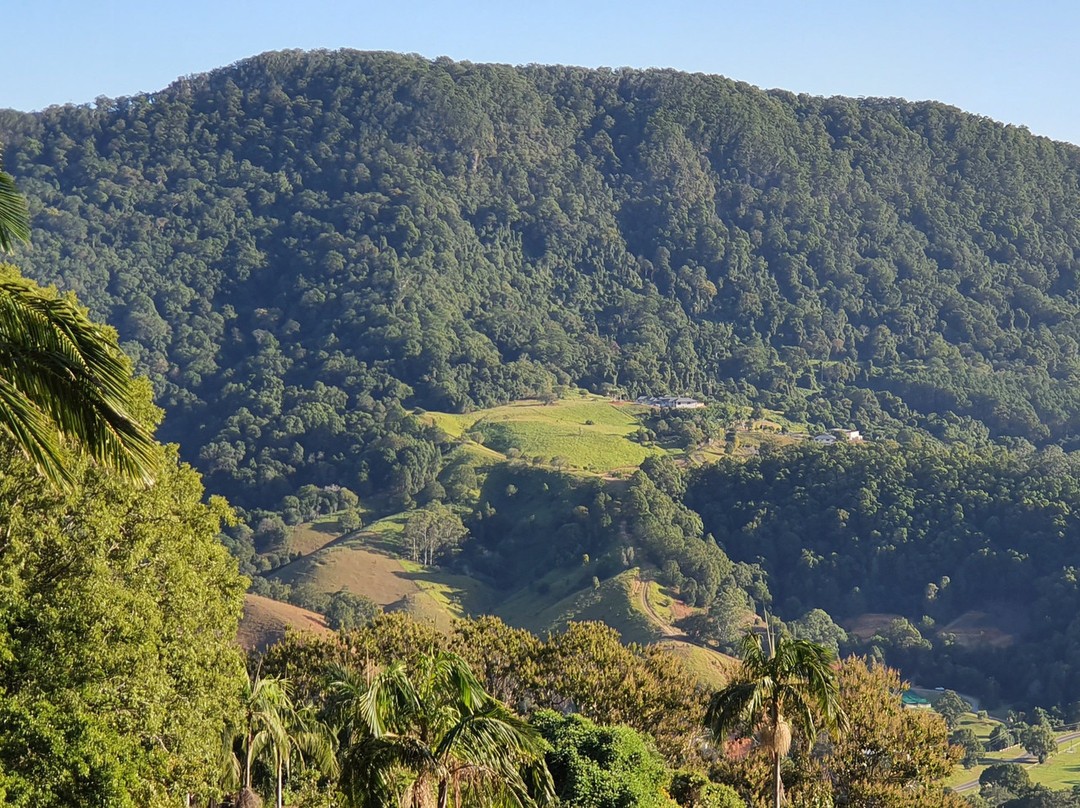 Arthur Freeman Lookout