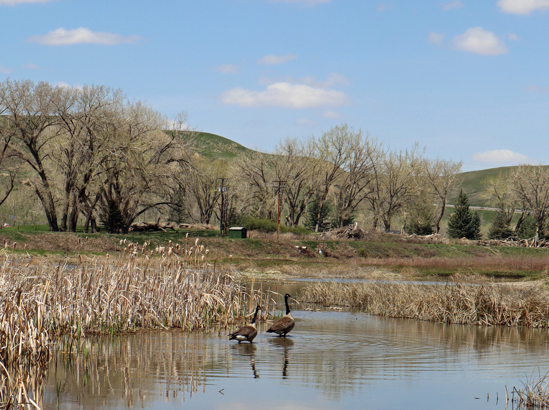 Elizabeth Hall Wetlands景点图片