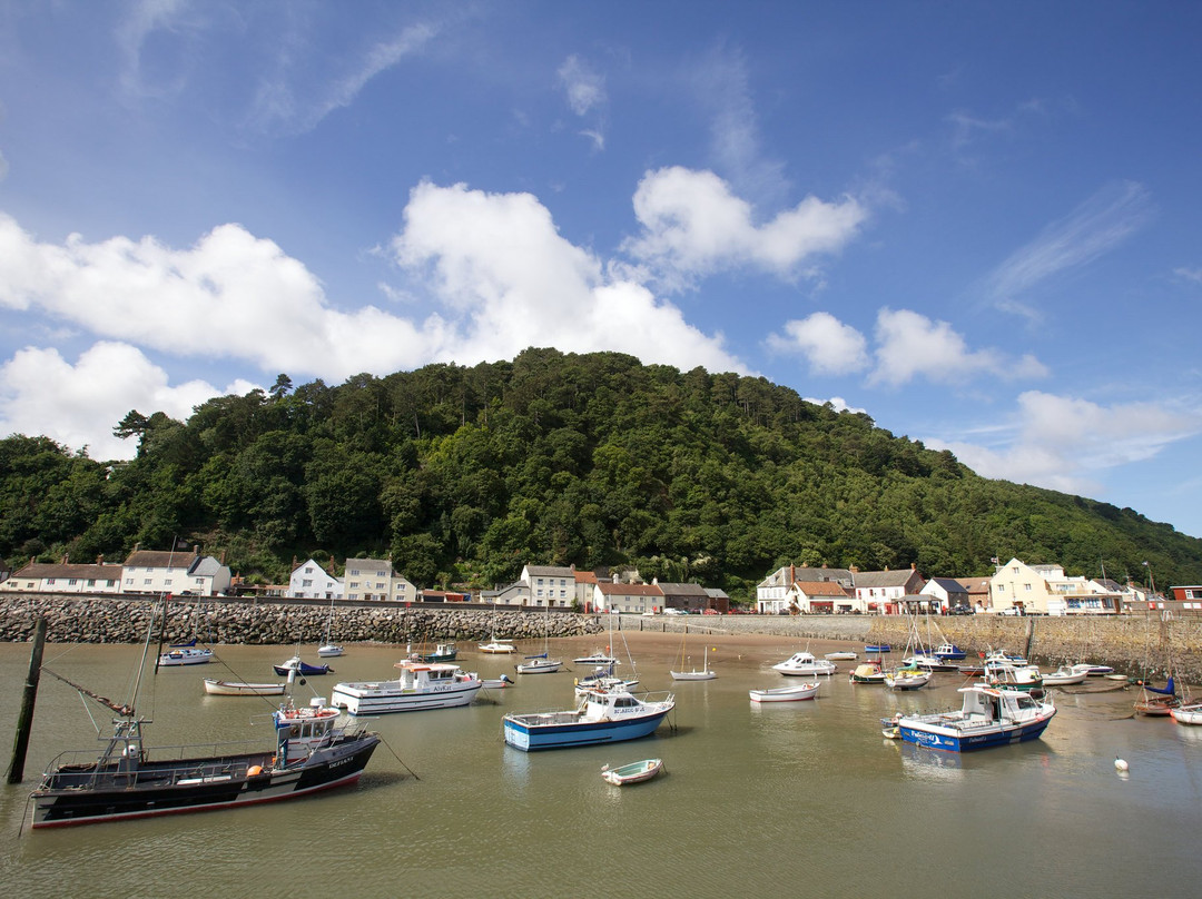 Dunster Exmoor National Park Centre景点图片