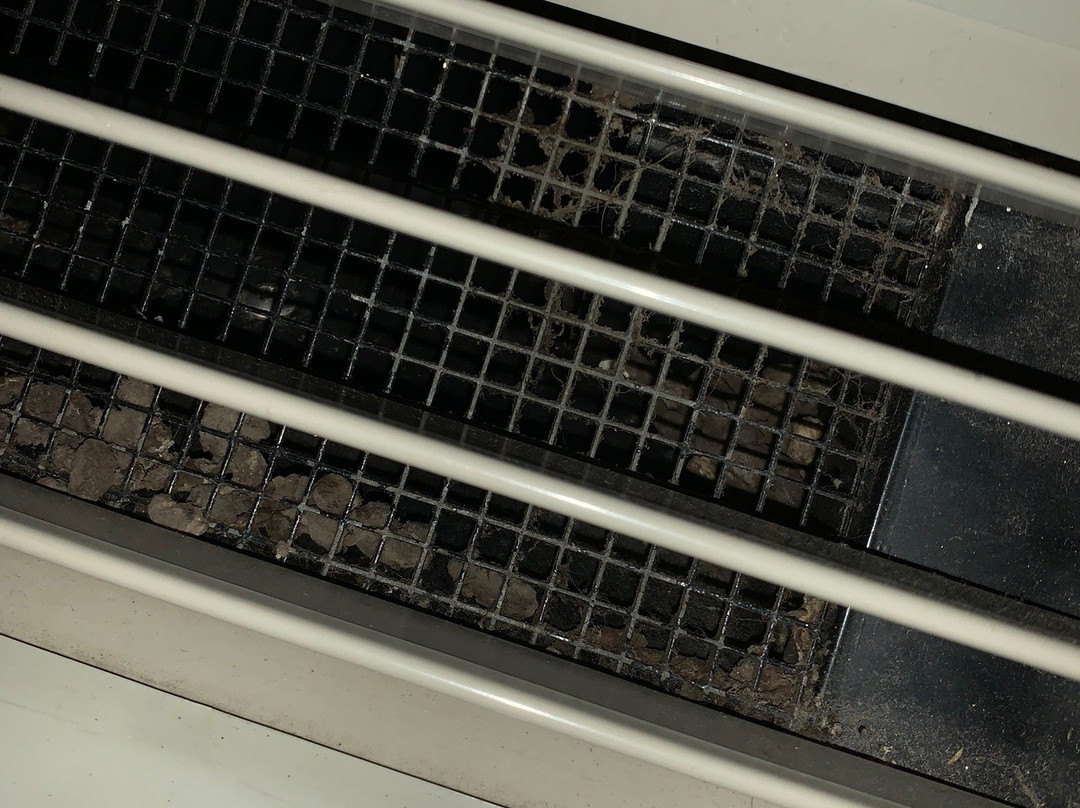 Baymont by Wyndham Midway主图