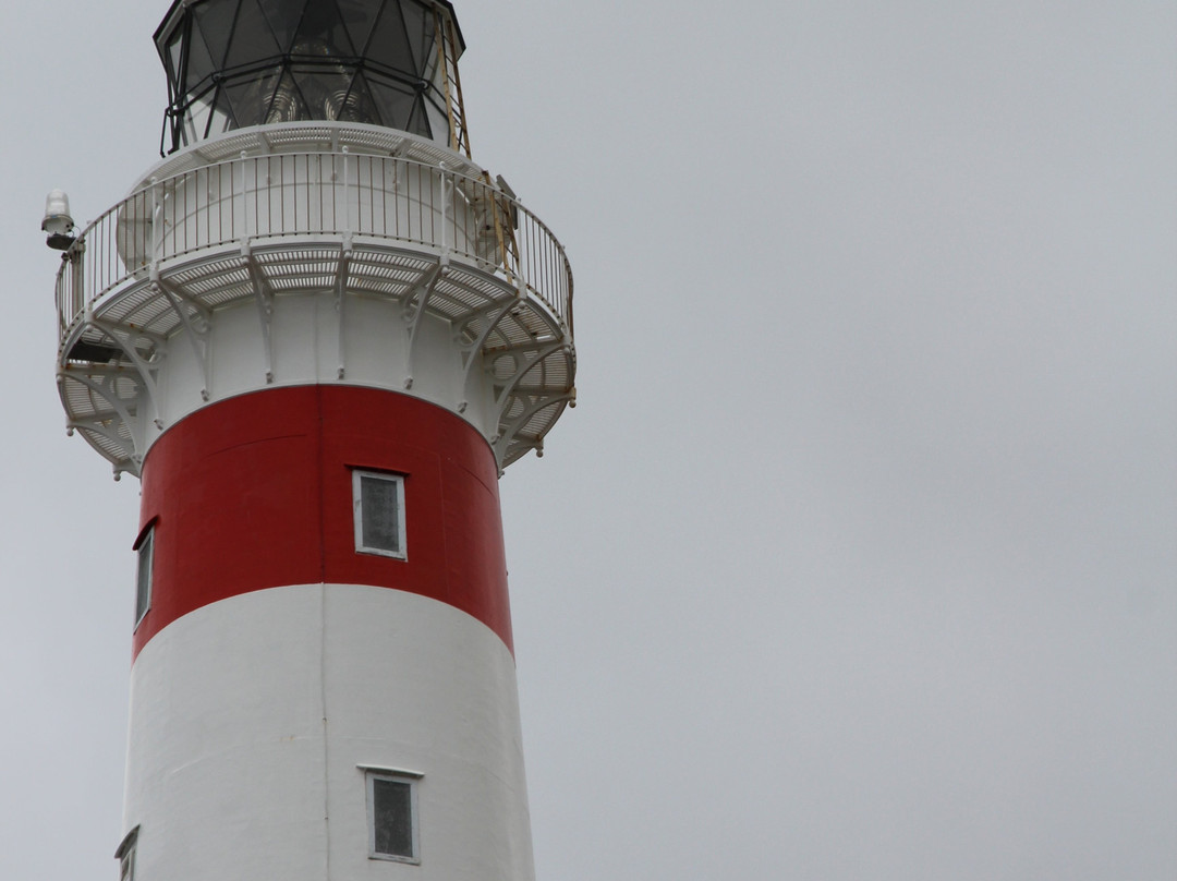 Cape Palliser Lighthouse景点图片