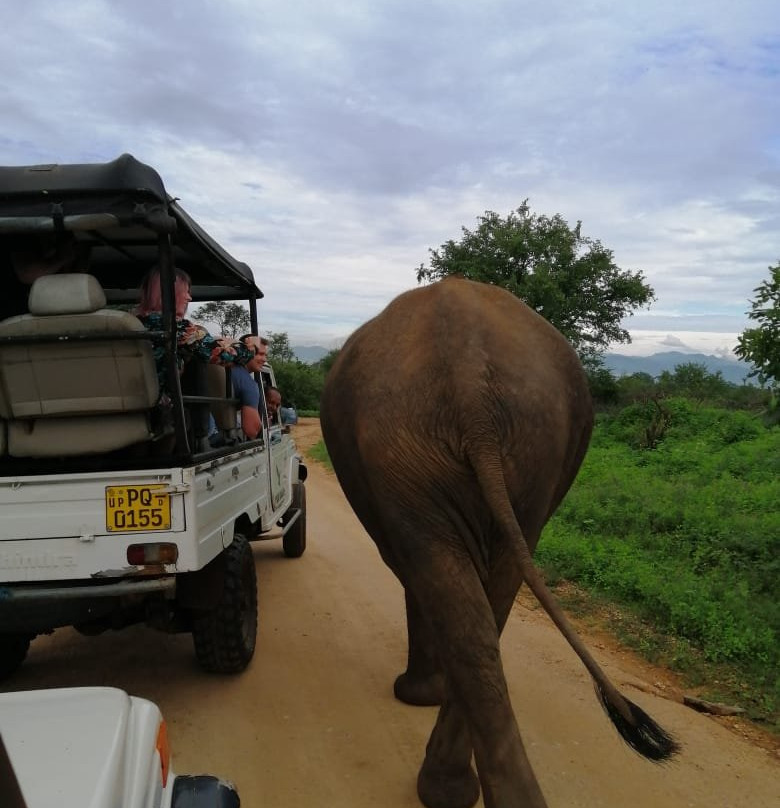 Toursrilankawb-埃勒必去景点