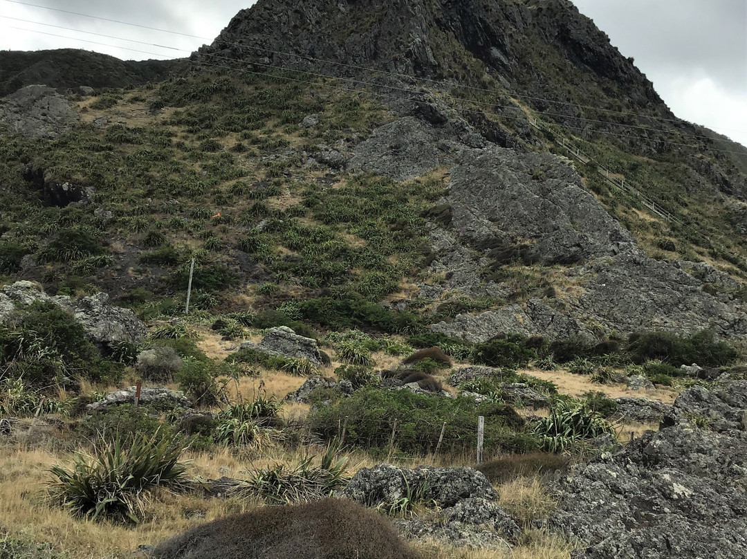 Cape Palliser Lighthouse景点图片