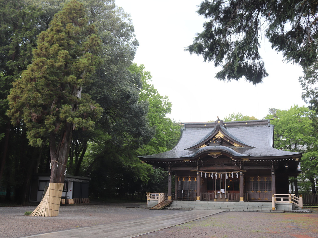 Yasaka Shrine-东村山市必去景点
