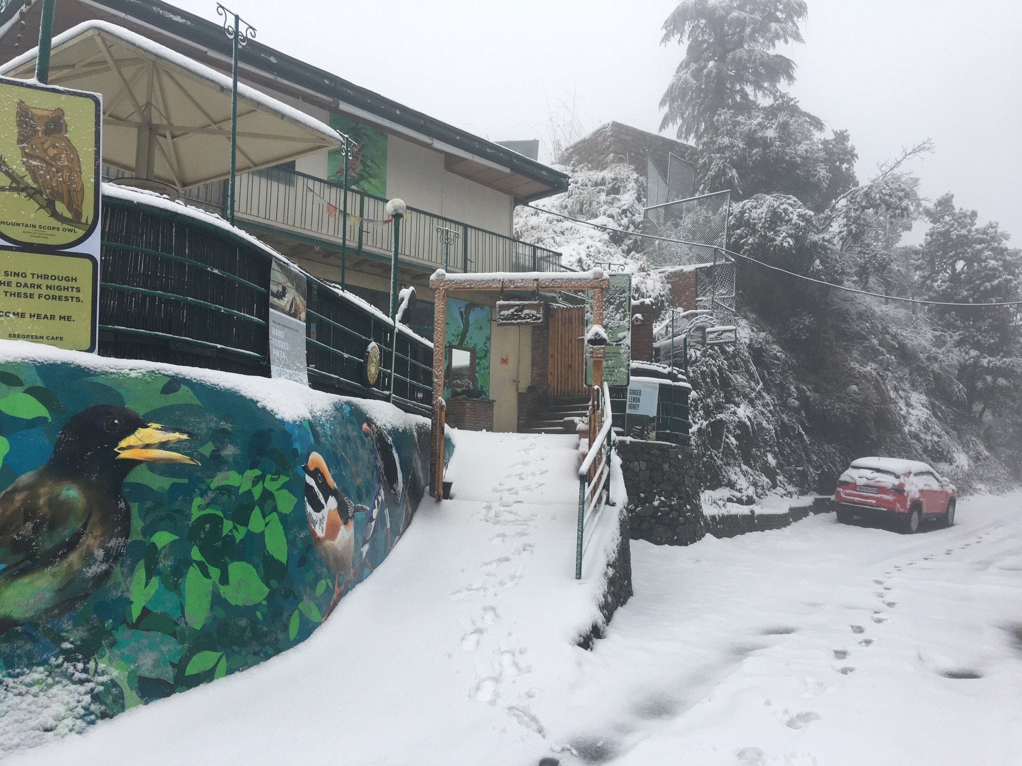 Seegreen Lodges-官方