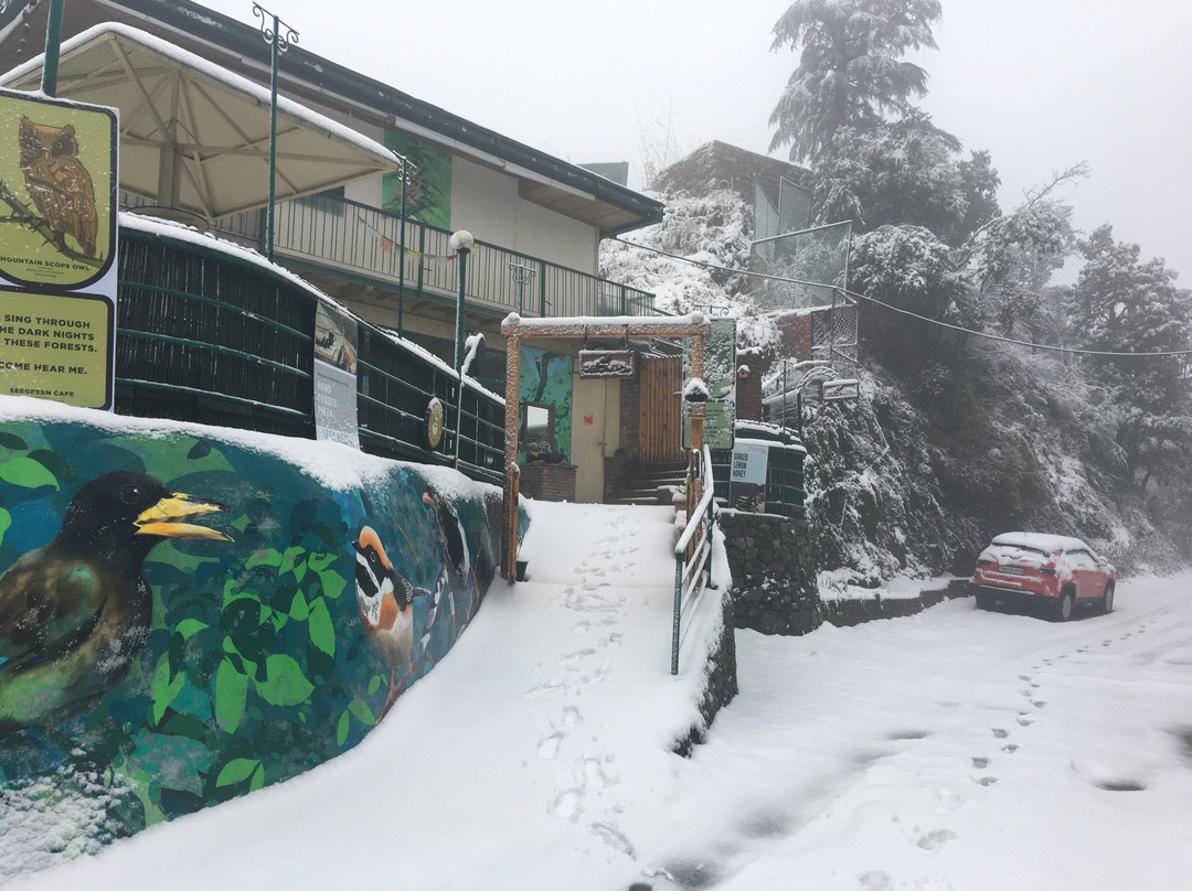 Bihar酒店住宿-Seegreen Lodges