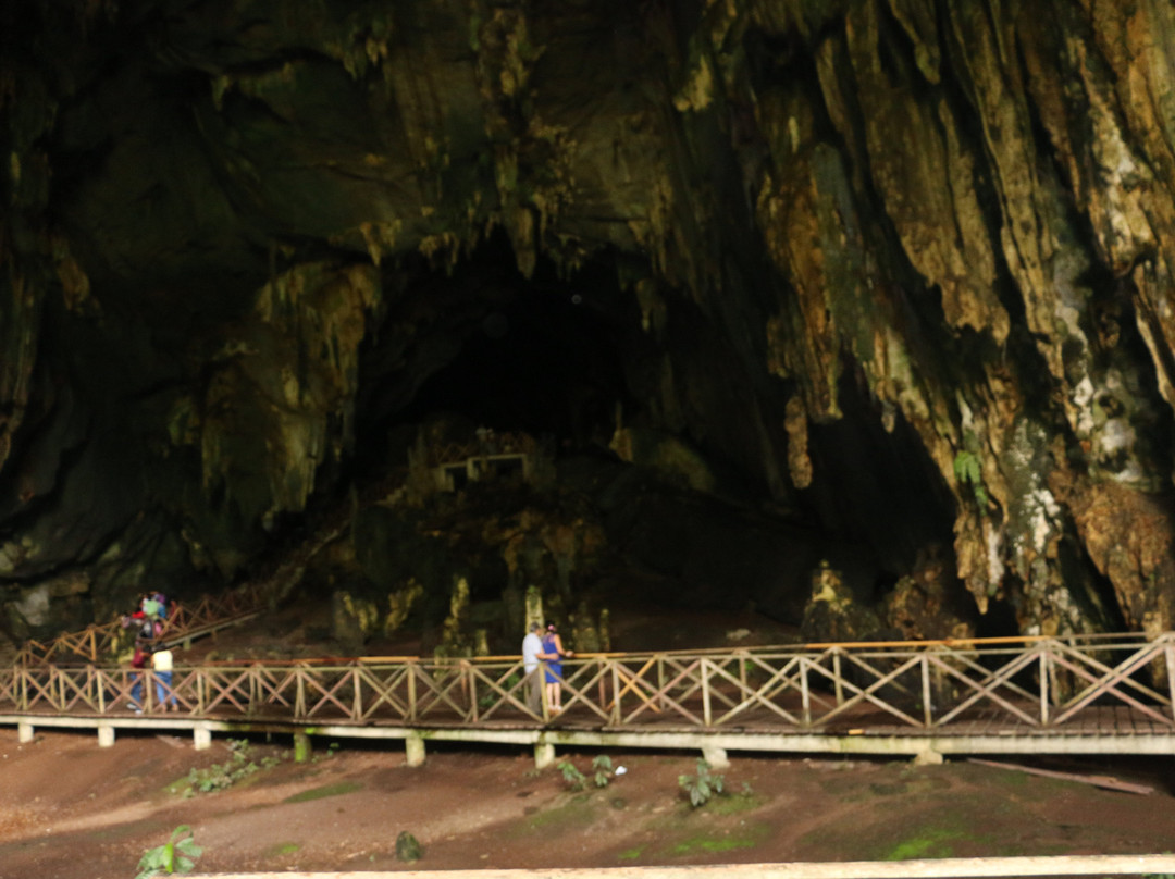 Tingo Maria National Park旅游攻略图片