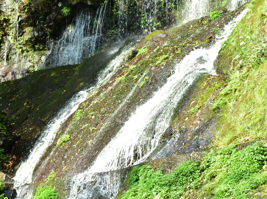 Tamatare Falls景点图片