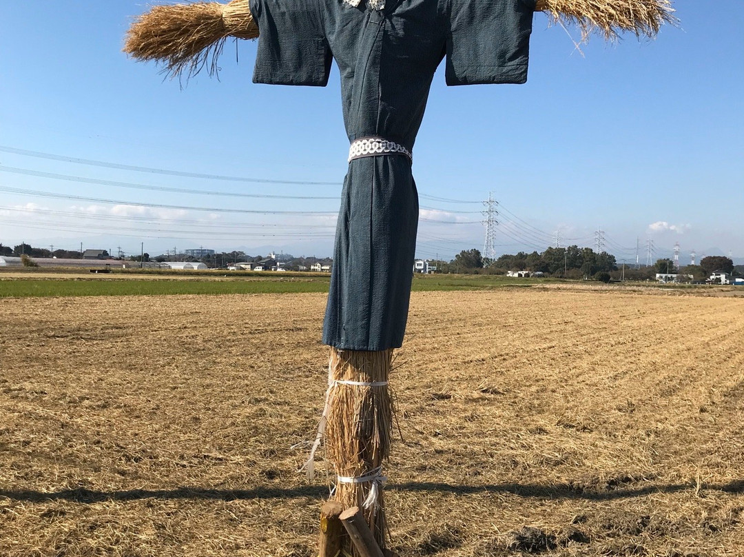 Okutomi Kakashi Festival-狭山市必去景点
