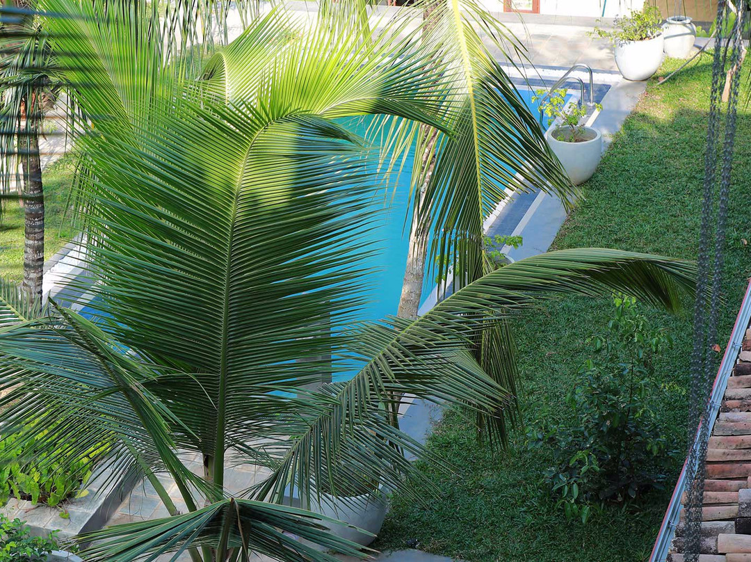 Terrace Garden主图