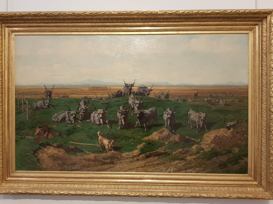 Musée Ziem景点图片