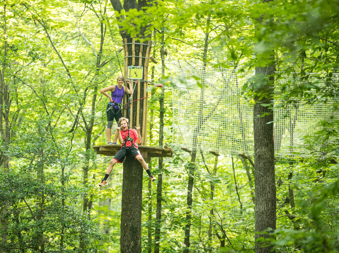 Go Ape Zipline & Adventure Park景点图片