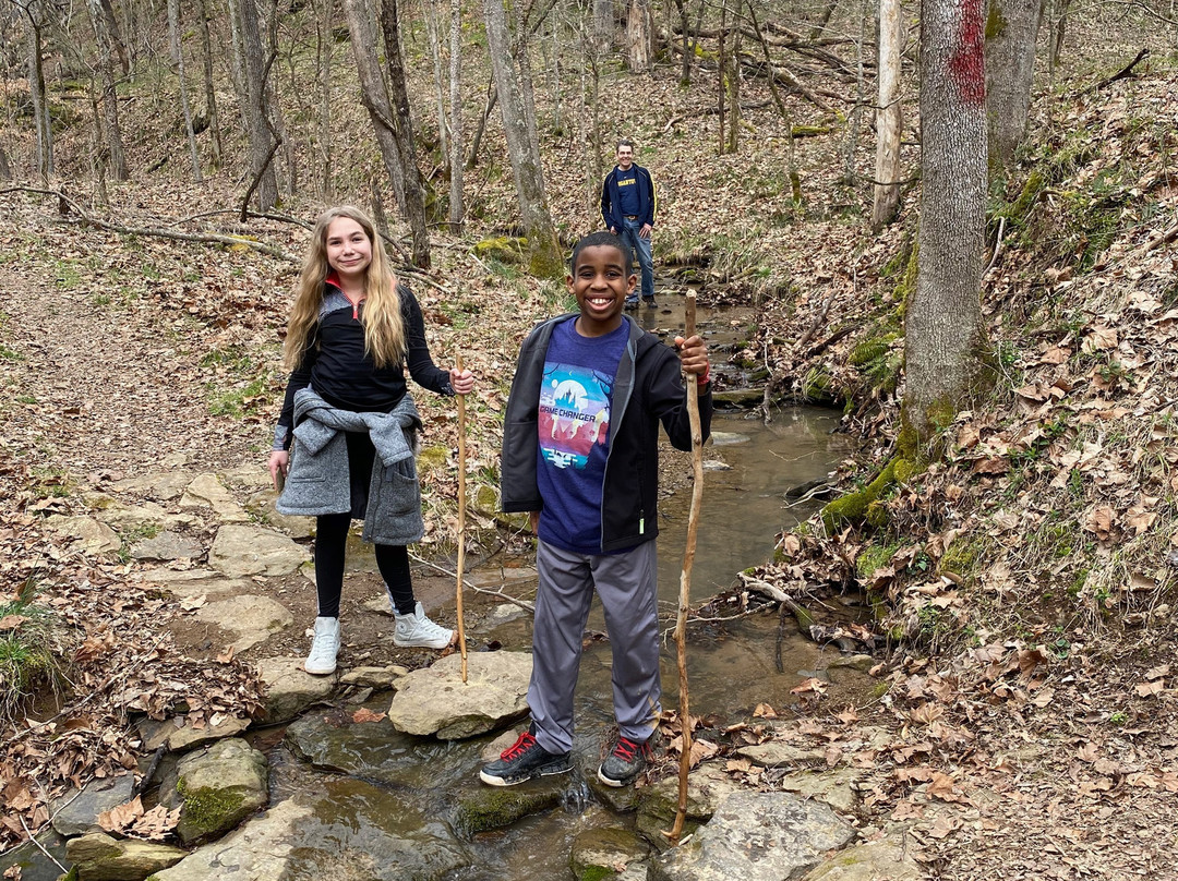 Beech Fork State Park-Barboursville必去景点