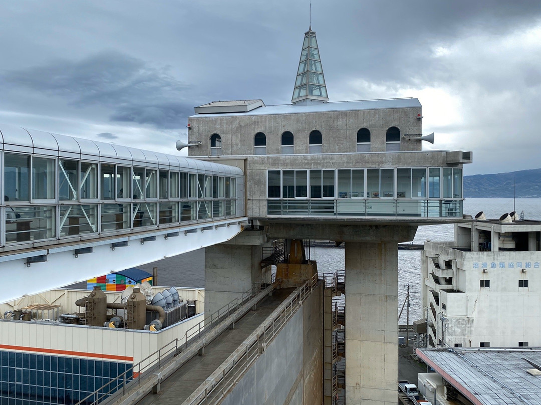 Numazu Flood Gate Observation Deck View-O景点图片