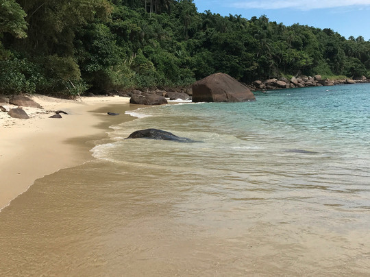 Ubatuba Tour-乌巴图巴必去景点