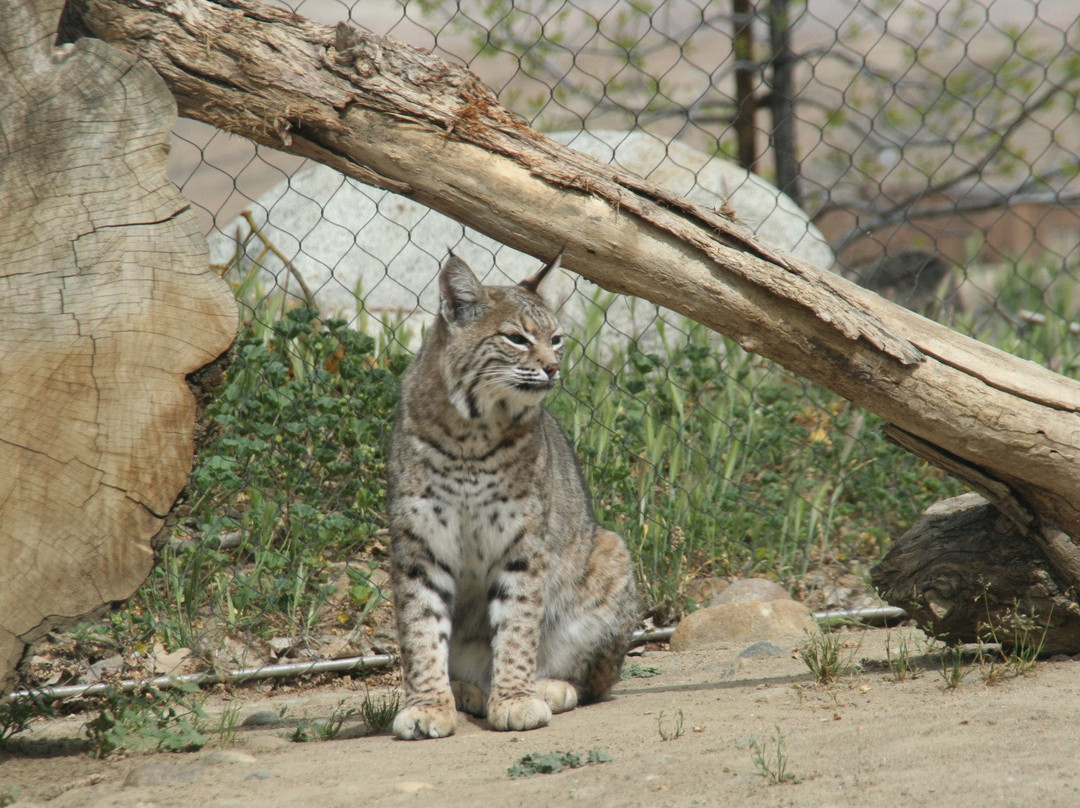 California Living Museum-贝克斯菲尔德必去景点