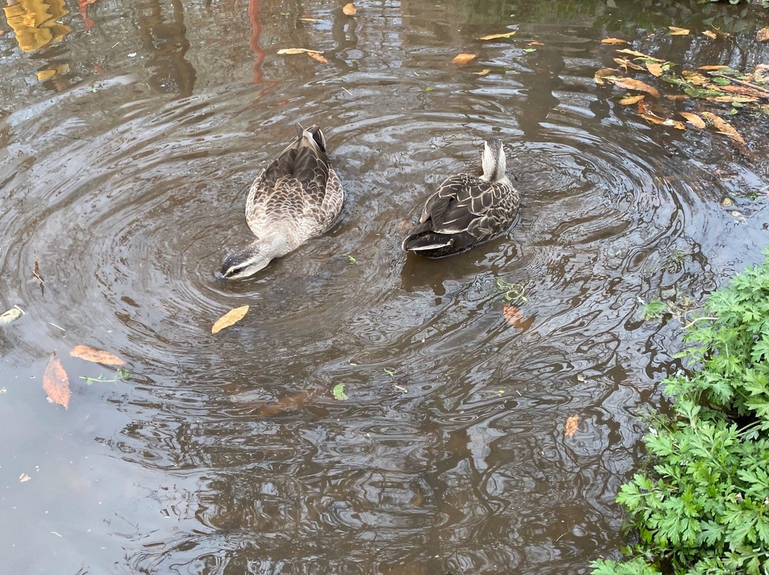 Santome Konjakumura-三芳町必去景点