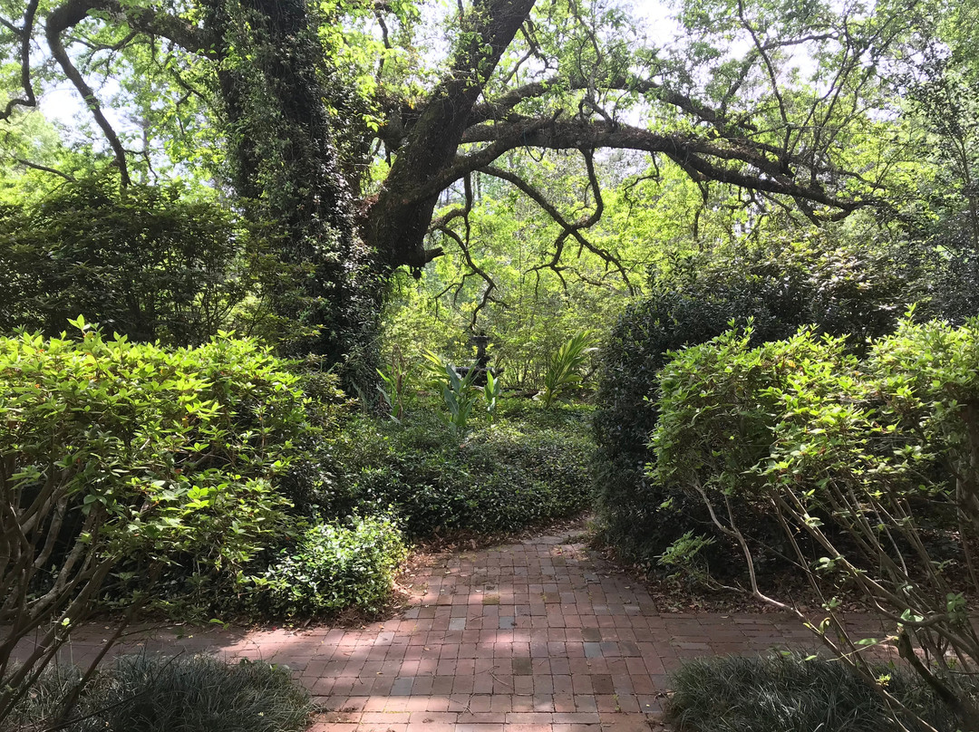 Woodridge Bed and Breakfast of Louisiana主图