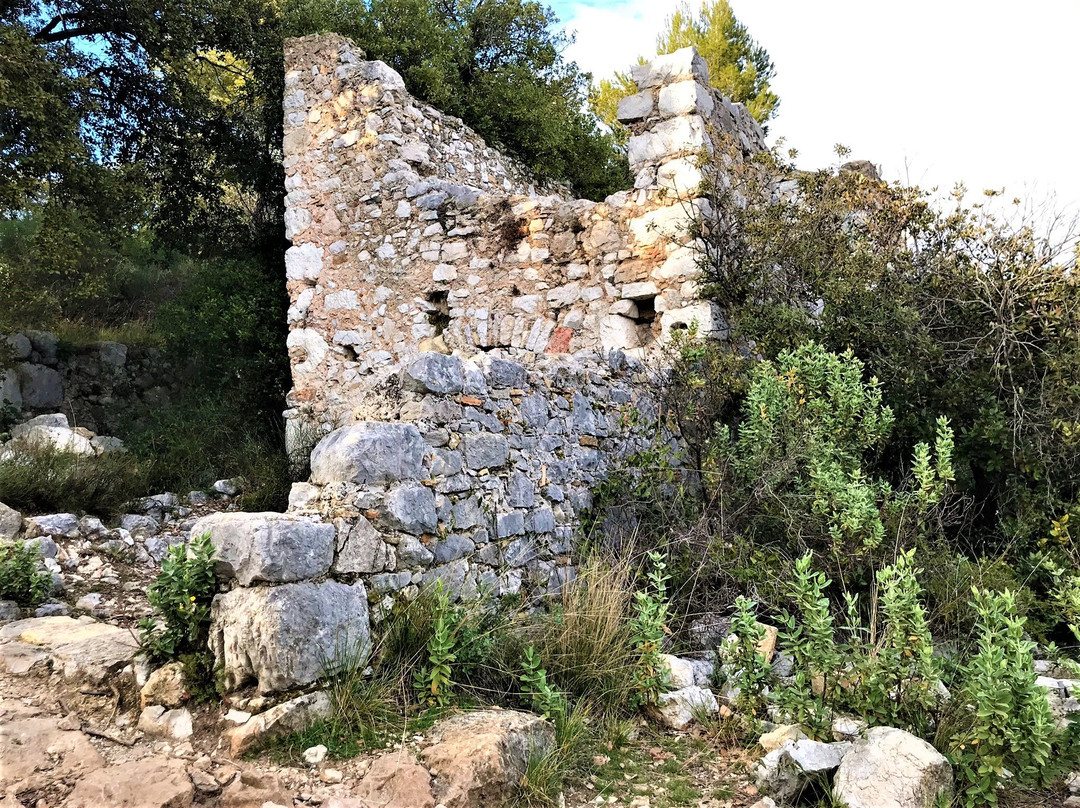 Pyramide de Falicon et grotte de Ratapignata景点图片