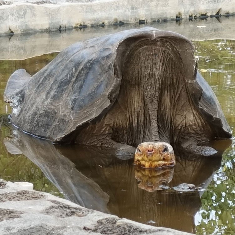 Santa Cruz Island-圣克鲁斯必去景点