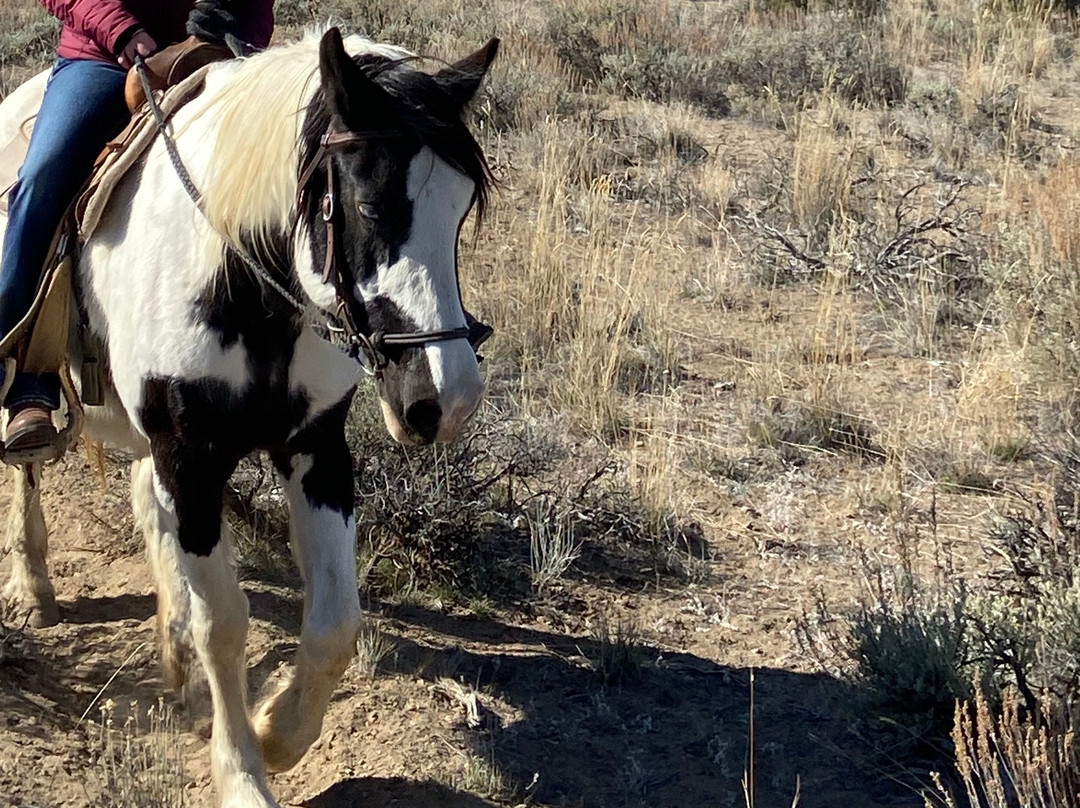 Brasada Trails-Powell Butte必去景点