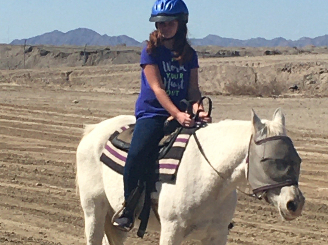 Desert Horse Adventures景点图片