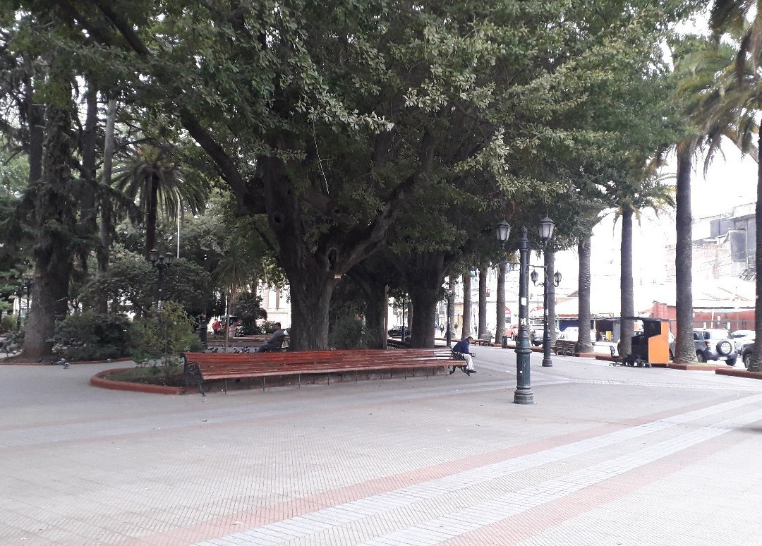 Plaza de Armas de Curico景点图片