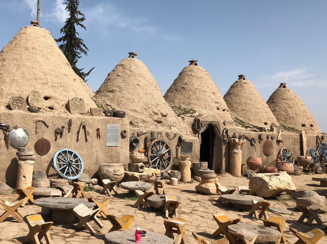 Harran Sit Alani-Harran必去景点