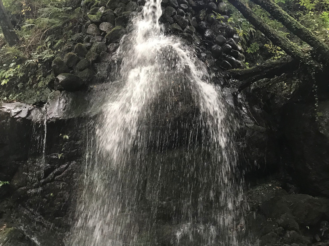 Manyo Park-汤河原町必去景点