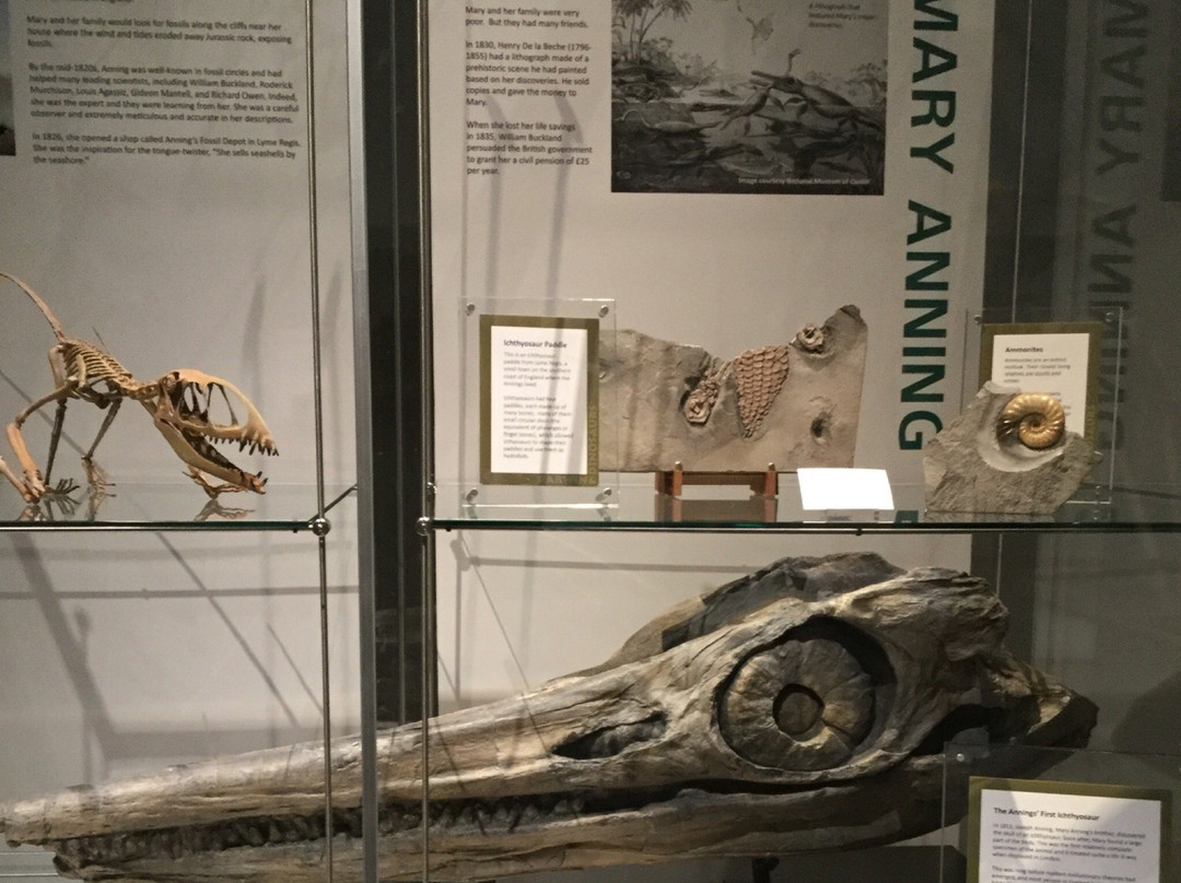 Museum of Idaho-爱达荷福尔斯必去景点