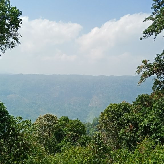 Nallamudi Viewpoint-Valparai必去景点