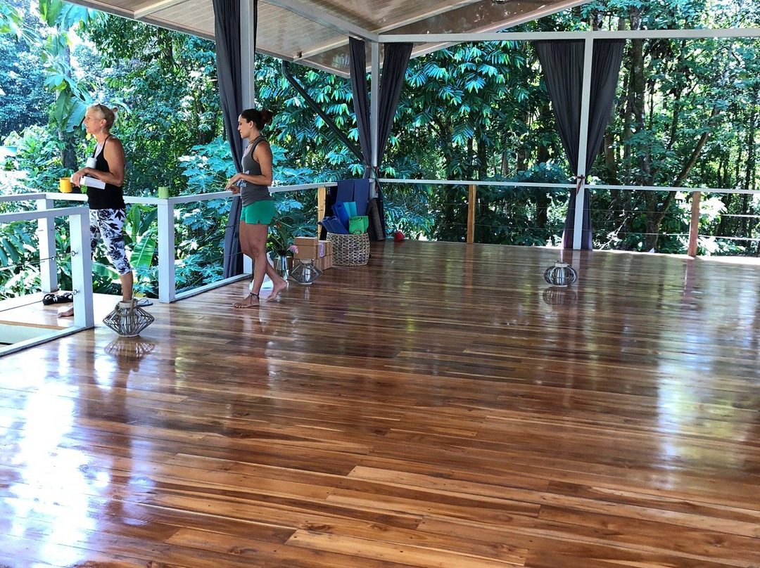 Serenidad Yoga and Wellness Center景点图片