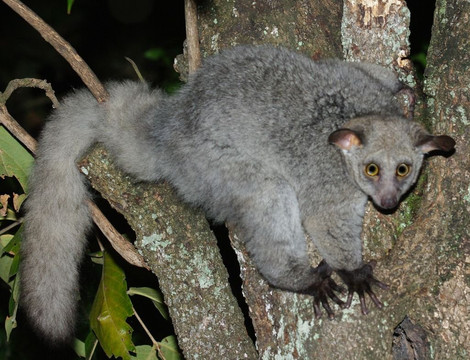 null-Lake Mburo National Park