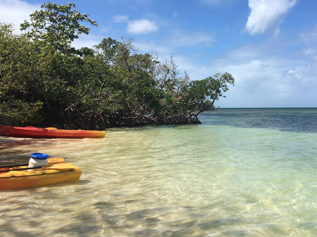 TI-Evasion Kayak de mer en Guadeloupe景点图片