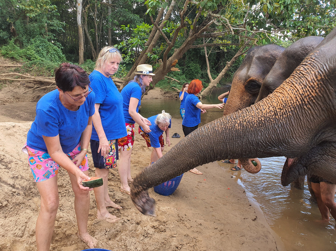 Saiyok Elephant Park景点图片
