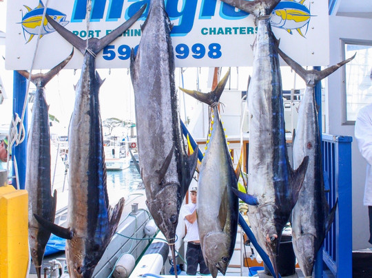 Magic Sport Fishing-火奴鲁鲁必去景点