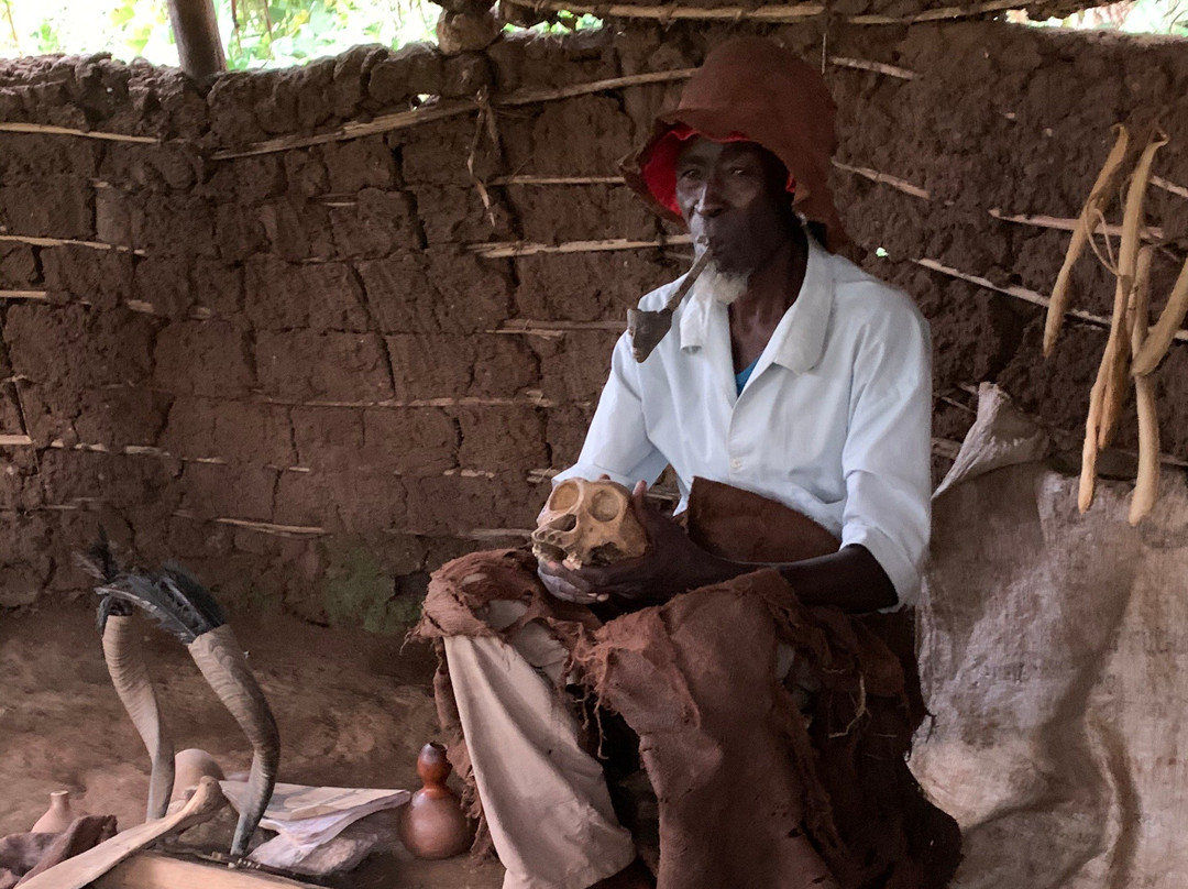 Albertine Valley Lodge主图