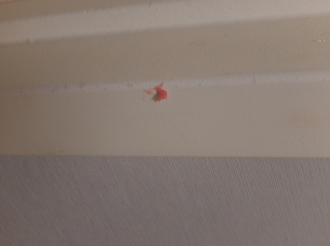 Holiday Inn Denver East by IHG主图