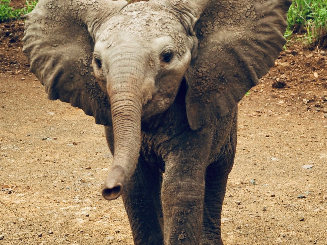 Mangaleka Africa-Umdloti必去景点