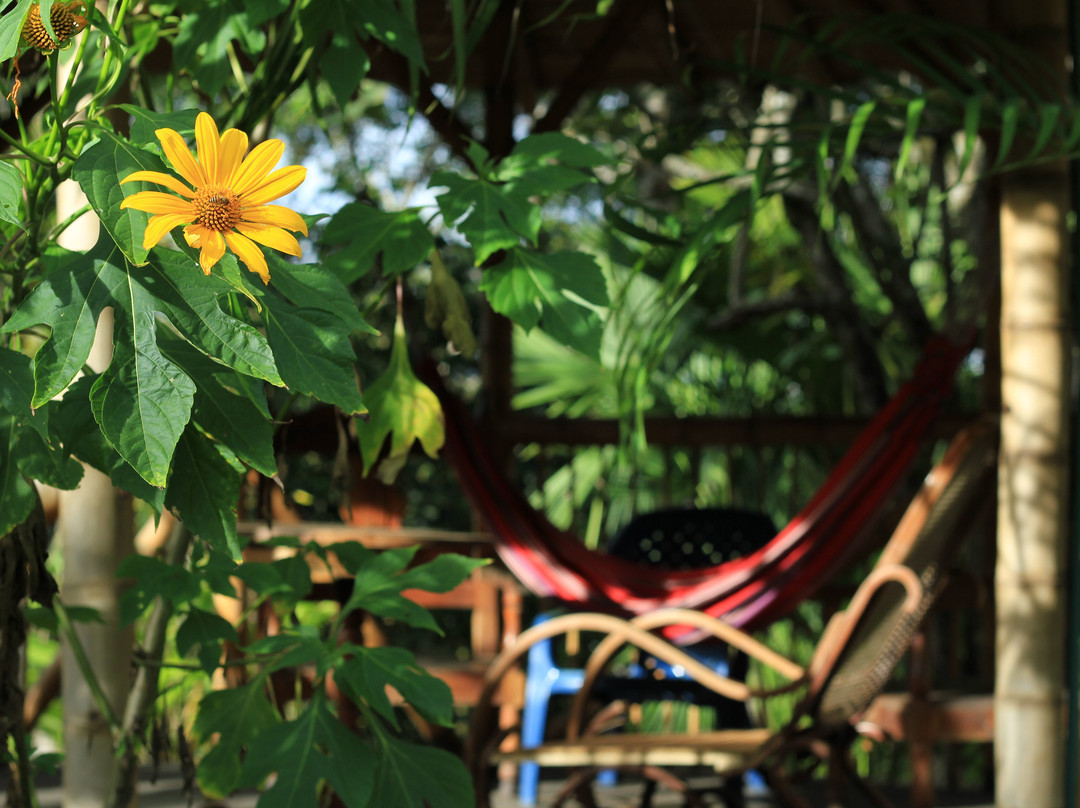 Hotel Casa de Nelly主图