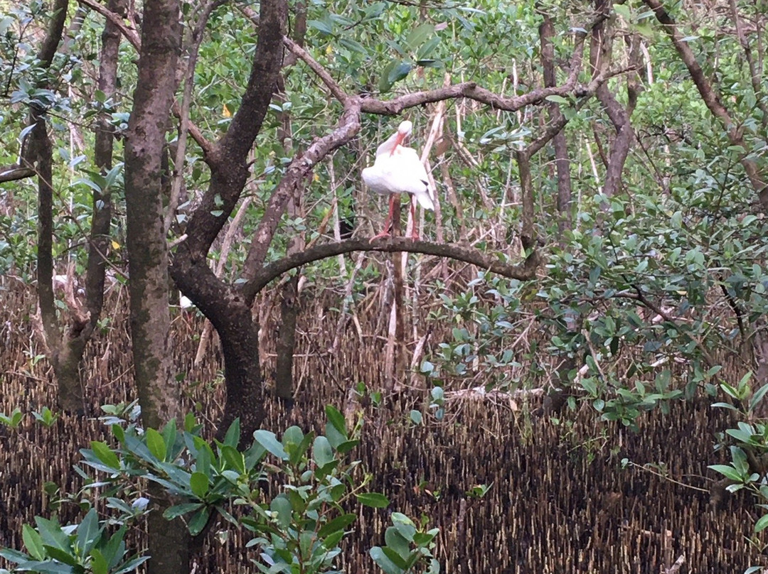 Rotary Park Environmental Center-开普科勒尔必去景点