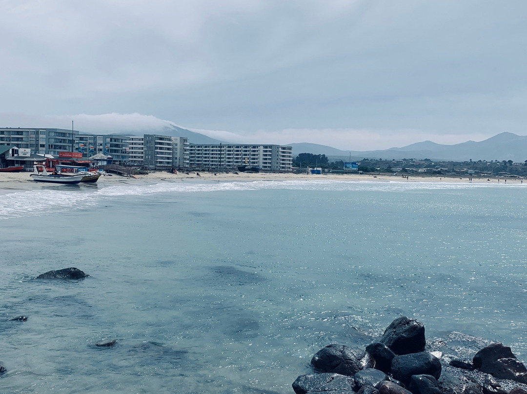 Playa Los Molles-La Ligua必去景点