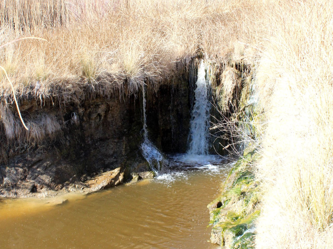 China Ranch Date Farm-Tecopa必去景点