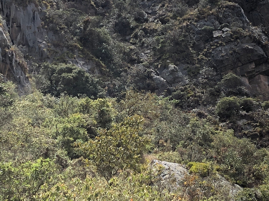 Suesca Outdoor Experience-Suesca必去景点