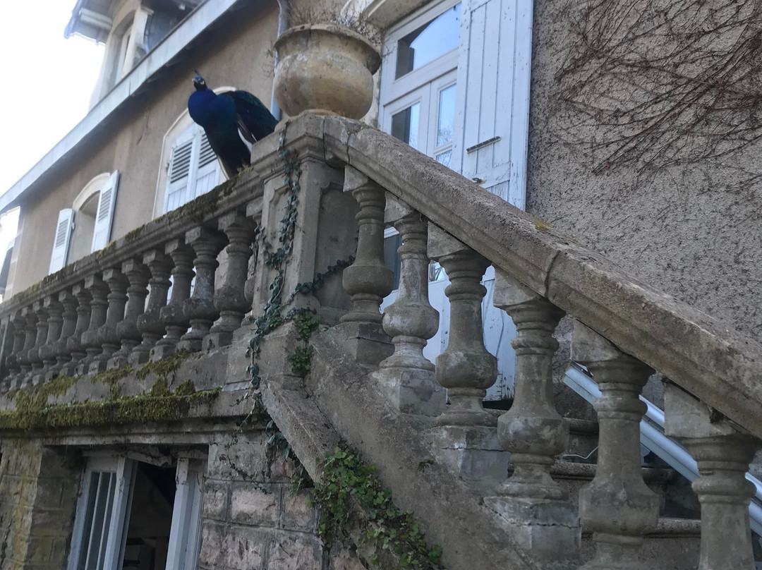 Le Clos Saint-Martin主图